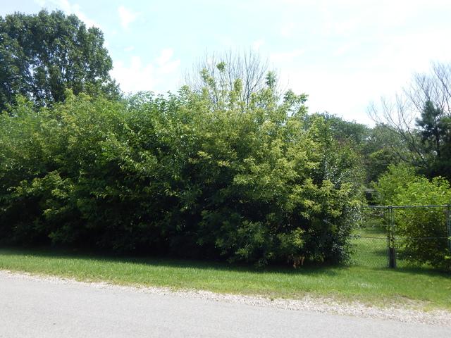 21 & 22 Cleveland Street - Photo 1