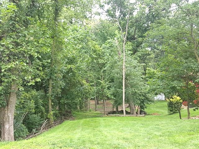 Lot 1641 Tanglewood Drive - Photo 1