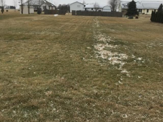 Lot 3 Rudin Drive - Photo 1