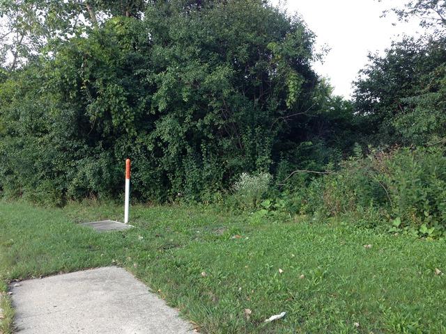 0 Sycamore Avenue - Photo 1