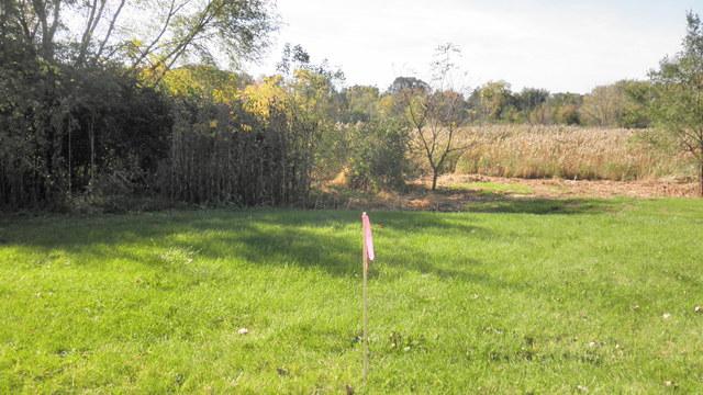 1025 Julia Court - Photo 1