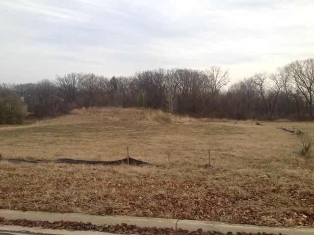 Lot 12 Ginger Woods Parkway - Photo 1