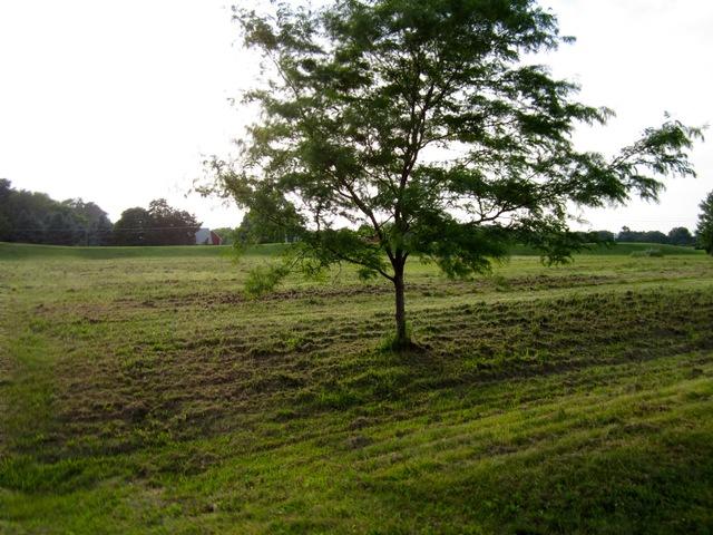 Lot 59 Madeline Drive - Photo 1