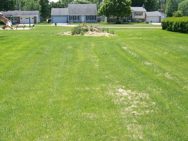 LOT 7 North Street - Photo 1