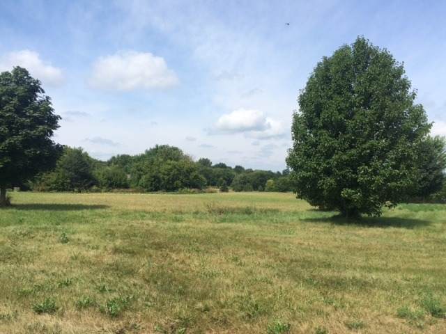 7213 Briar Drive - Photo 1