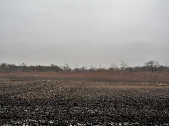 0 Anthony Road - Photo 1