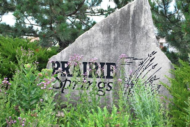 728 Prairie Pond Circle - Photo 1