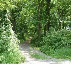 6683 16000 E Road - Photo 1