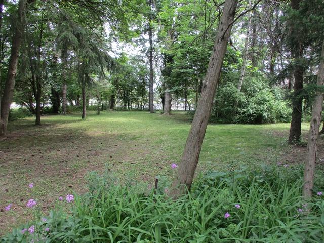 12421 Archer Avenue - Photo 1