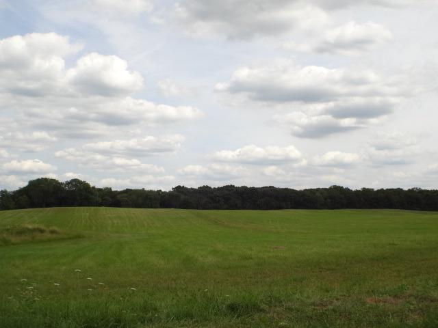 12.5 AC Voss Road - Photo 1