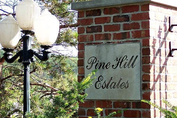 Lot 3 Pine Hill Drive - Photo 1