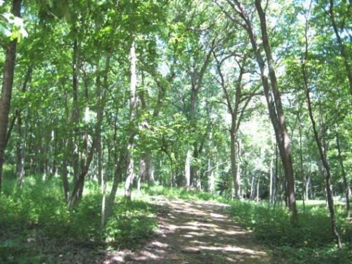 000 Anterier Road - Photo 1