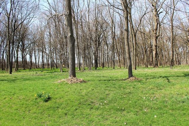 TBD Lyndon Road - Photo 1
