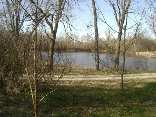 25547 Pinewood Lane - Photo 1