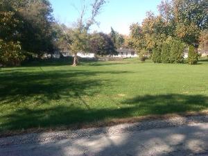 2N044 Bernice Avenue - Photo 1