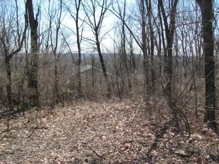 LOT 2 2625TH Road - Photo 1