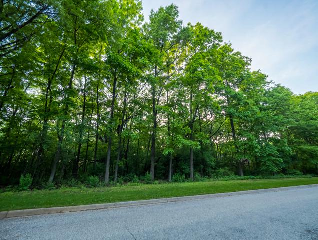 11202 Hill Crest Lane - Photo 1