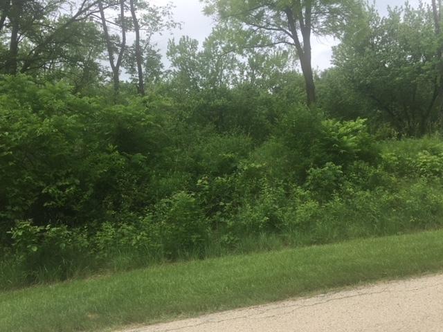 5N572 Hidden Springs Drive - Photo 1