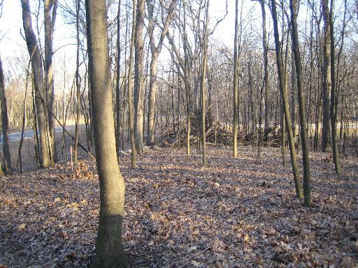1785 Indian Trail - Photo 1