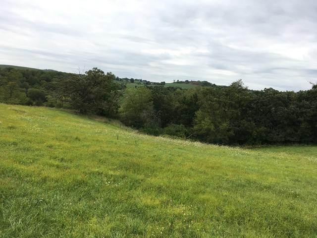 TBD Snipe Hollow Road - Photo 1
