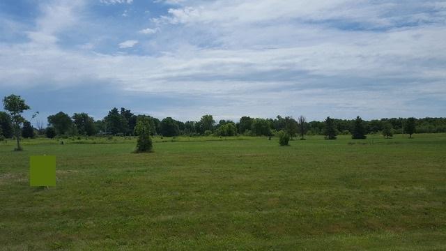 8032 Shadow Creek Lane - Photo 1