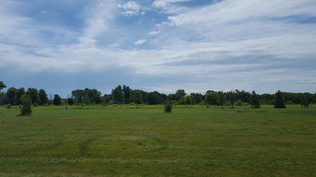 8078 Shadow Creek Lane - Photo 1