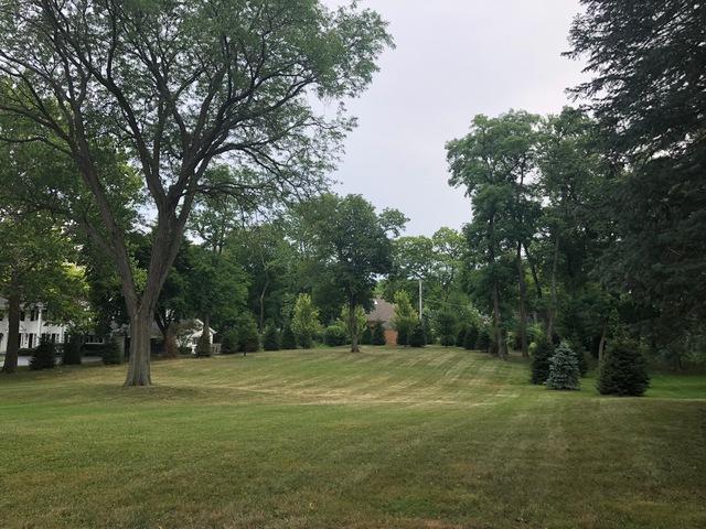801 Timberline Drive - Photo 1