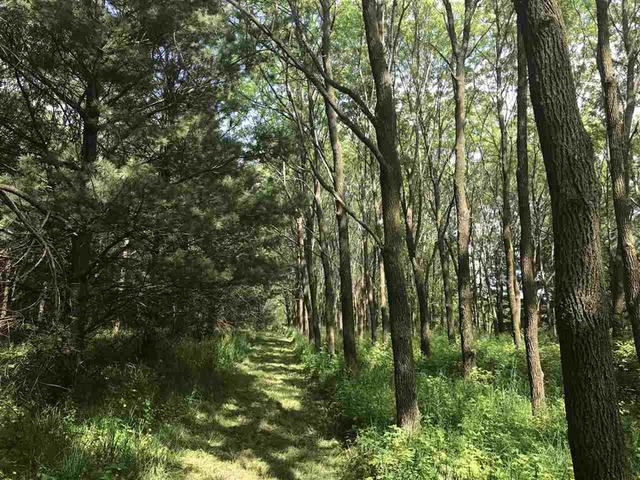 17120 Laube Road - Photo 1