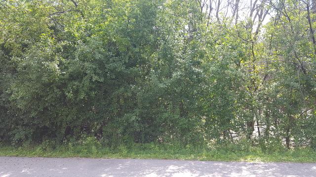 229 Grant Street - Photo 1