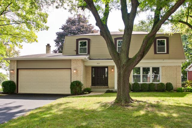 1021 White Mountain Drive - Photo 1