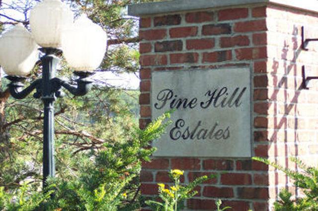 16514 Pine Hill Drive - Photo 1