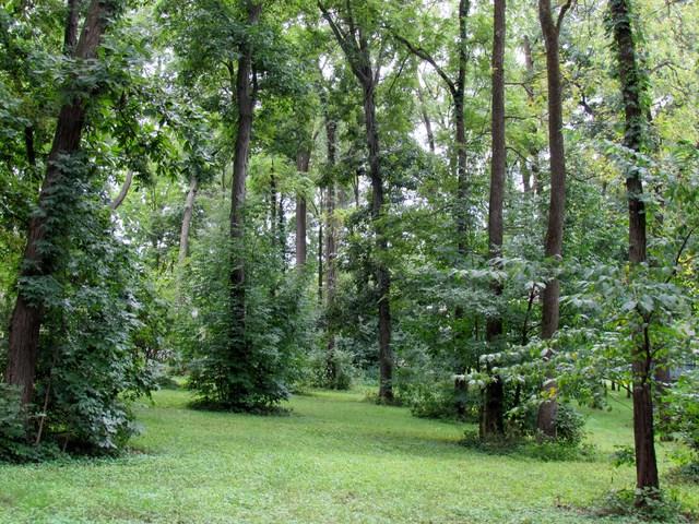 1515 Roxbury Court - Photo 1