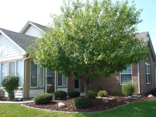 417 Stonegate Way - Photo 1