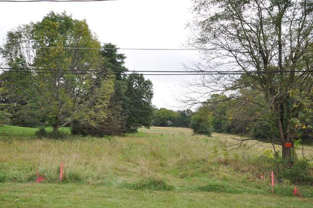 26061 Lotus Road - Photo 1
