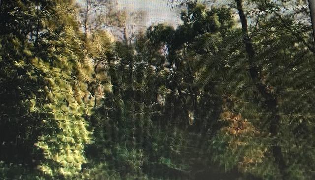 Lot 23 River Ridge Lane - Photo 1