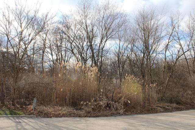 2 Old Tamarack Lane - Photo 1