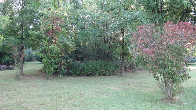 22057 Virell Drive - Photo 1