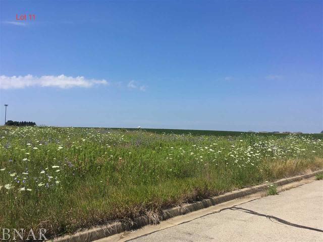 LOT 11 Franklin Heights - Photo 1