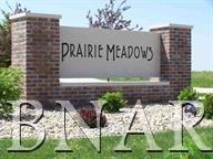 522 Prairie Meadows Drive - Photo 1