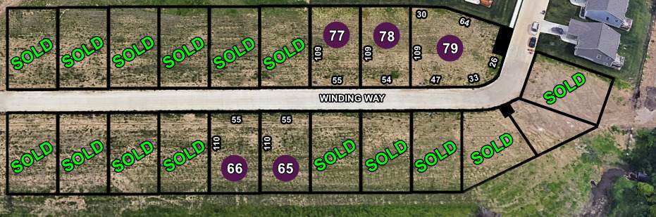 Lot 63 Winding Way - Photo 1