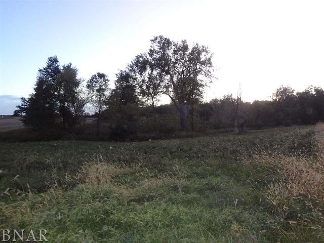 Burns Hill Road - Photo 1