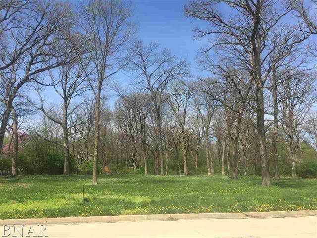 Lot 1 Briar Drive - Photo 1