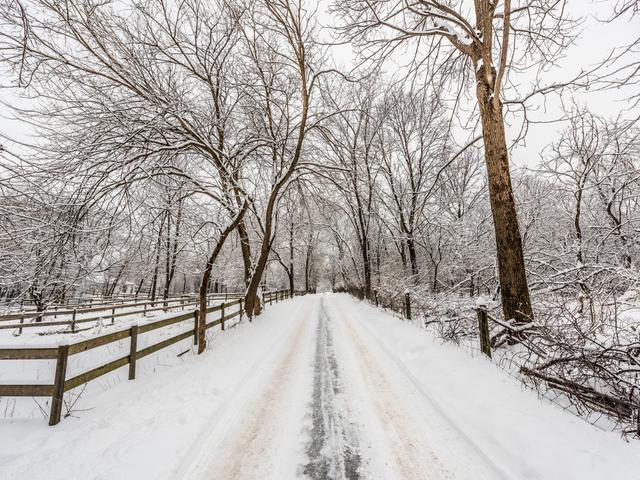 237A Oak Knoll Road - Photo 1