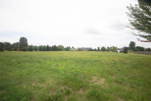 8418 Squirrel Drive - Photo 1