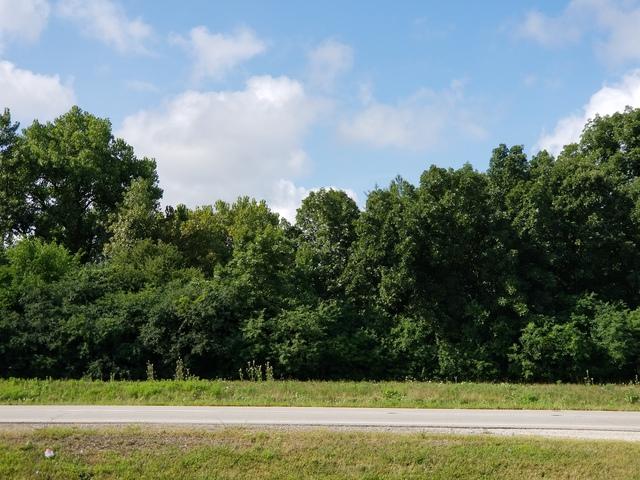 26272 Us Highway 12 - Photo 1