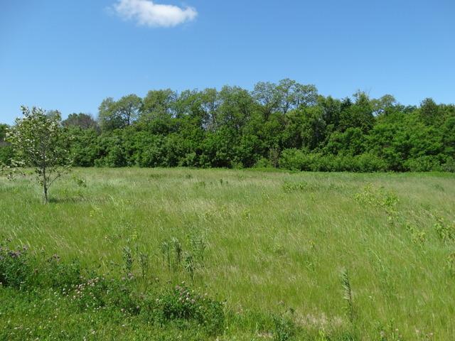 22565 Evergreen Court - Photo 1