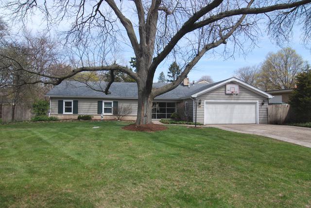 117 Elm Street - Photo 1