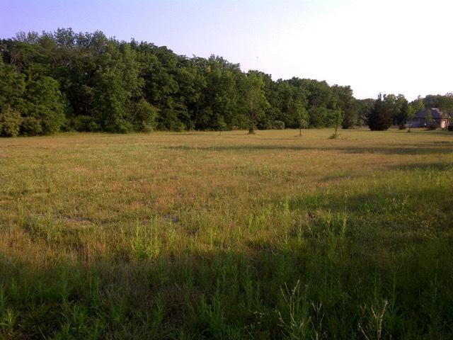 Lot 3 Reidel Subd - Photo 1
