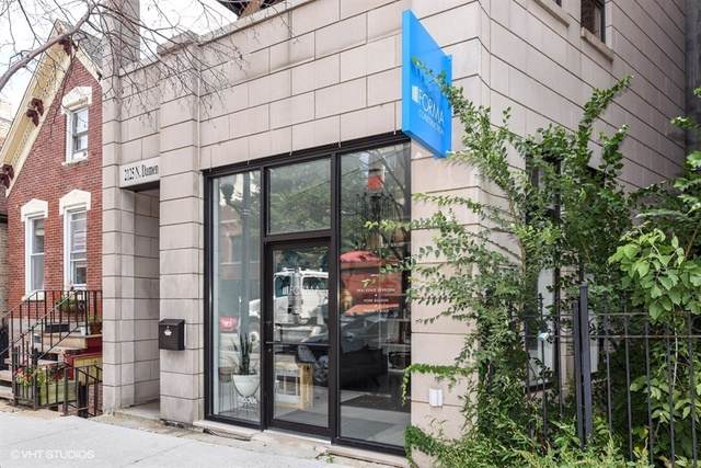 2125 Damen Avenue - Photo 1