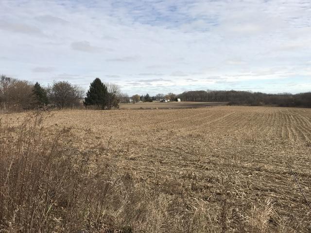 8N833 Il Route 47 - Photo 1